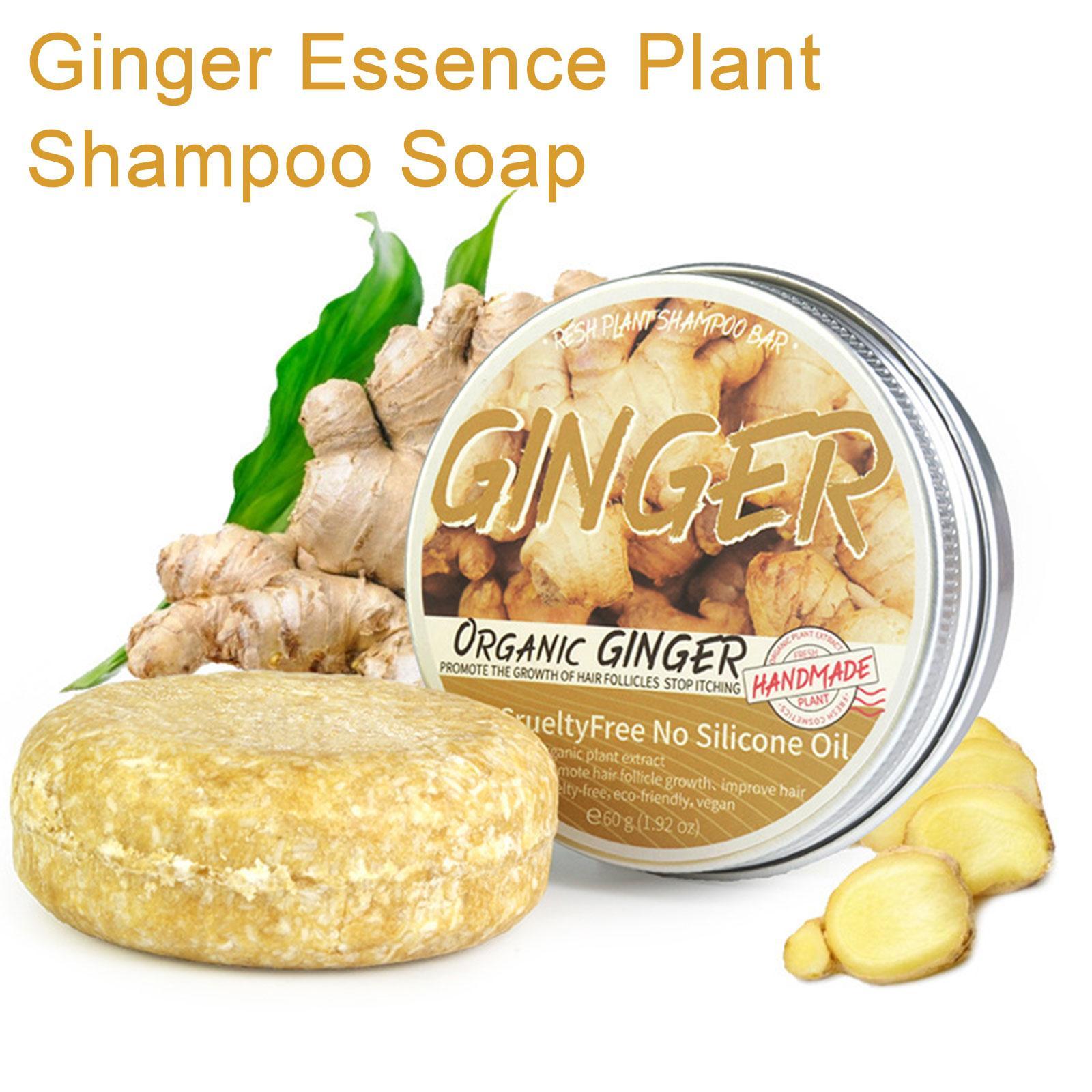 شامبو بطعم الزنجبيل للعناية با - مراجعة Hair Care Elseve وسعره