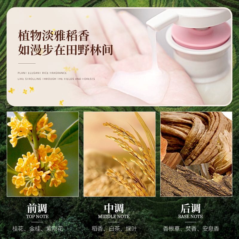 شامبو ماء الأرز Changfa Xiaozh - مراجعة Hair Care With Rice Water وسعره